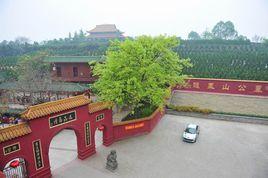 莊河龍鳳山公墓 莊河龍鳳山公墓