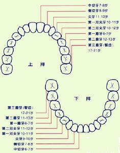 牙齒感覺過敏症