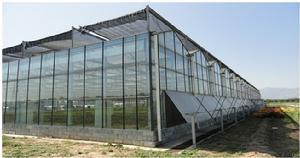 玻璃連棟溫室
