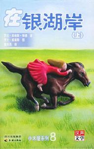 在銀湖岸 在銀湖岸