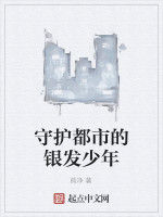 守護都市的銀髮少年 守護都市的銀髮少年