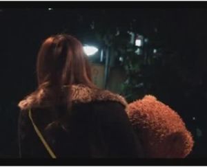 拉格朗日夢想曲 拉格朗日夢想曲