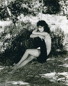 蒂斯先生的邪念劇照