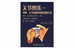 關節圖集 關節圖集