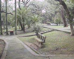 大溪中正公園 大溪中正公園