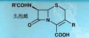 頭孢黴素
