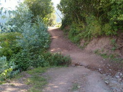 久鐵洛古鄉 久鐵洛古鄉