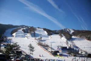 鳳凰城滑雪場 鳳凰城滑雪場