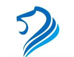 藍獅國際文化傳媒 藍獅國際文化傳媒