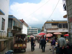 老街欄門樹自然村