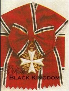 100mm寬的綬帶和綬帶小勳章