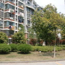 五星小區 五星小區