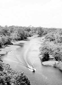 亞馬遜熱帶森林