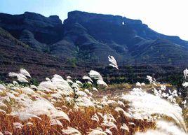 孔山星月 孔山星月