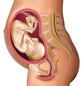 產後子宮收縮