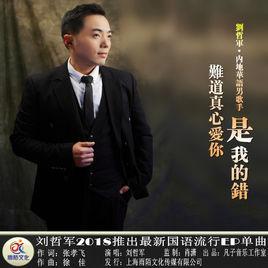 難道真心愛你是我的錯 難道真心愛你是我的錯