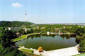 武漢蓮花湖 武漢蓮花湖