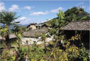 芭蕉寨村 芭蕉寨村