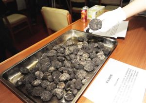 “海洋六號”科考船展示的從5100米海區採集的多金屬結核