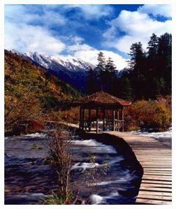 黃建平[攝影師]