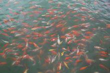 威海機械工程高級技工學校