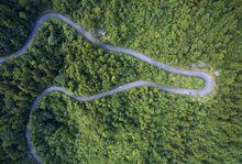 浙江桐廬瑤琳國家森林公園