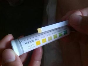 尿蛋白試紙 尿蛋白試紙