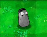 《植物大戰殭屍》[PopCap Games開發的遊戲]