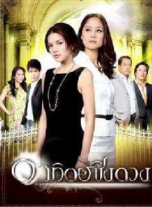 征服太陽 征服太陽