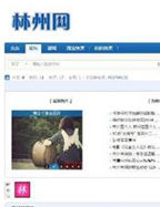 林州網 林州網