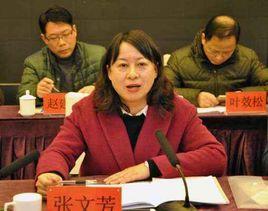 張文芳[安徽省桐城市人民政府副市長]