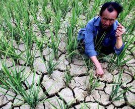 南旱北澇 南旱北澇