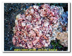 怪石峪--典型的花崗岩斑晶 阮國春 攝