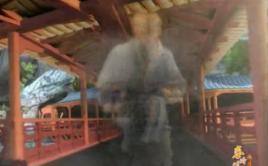 電光神行步 電光神行步