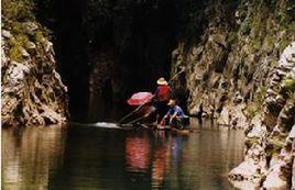 烏龍池森林公園 烏龍池森林公園