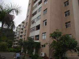 龍山里東 龍山里東