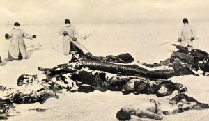 清末東北大鼠疫 清末東北大鼠疫