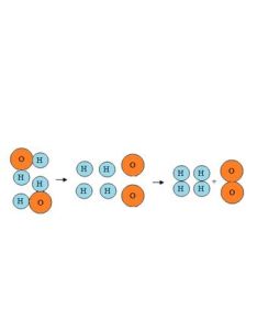 分子反應 分子反應