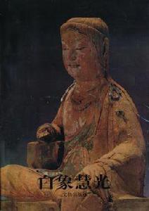 白象慧光·溫州白象塔·慧光塔典藏大全 白象慧光·溫州白象塔·慧光塔典藏大全