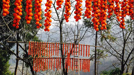 柿子紅了!這10個絕美意境古村落,第一個就心動了