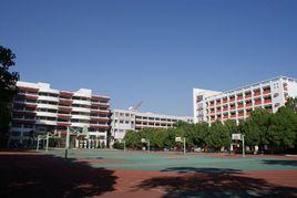 雲子中學 雲子中學