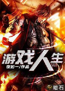 遊戲人生[暗石閱讀網小說]