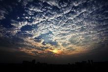 雜詩&middot;朝霞迎白日