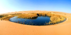 沙漠生態旅遊風景區