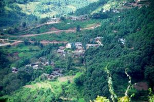 富某國自然村 富某國自然村