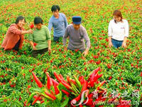 吳官營鄉 吳官營鄉