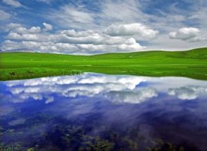青海鴛鴦花海 青海鴛鴦花海