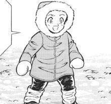 聖鬥士星矢[車田正美原作的漫畫]