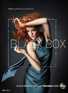 黑箱[美國電視劇]