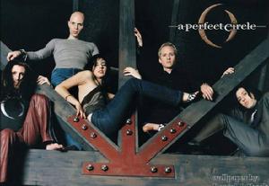 A Perfect Circle